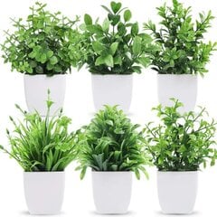 Mākslīgie augi podos, 6 gab cena un informācija | Mākslīgie ziedi | 220.lv
