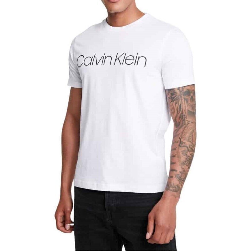 Calvin Klein T-krekls vīriešiem 8719852875200, dažādas krāsas, 2 gab. cena un informācija | Vīriešu T-krekli | 220.lv