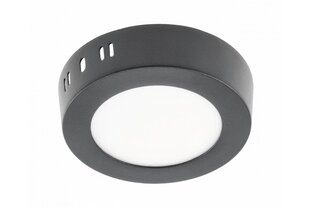 LED lampa Oris, IP20, 7W, 3000K, 560lm cena un informācija | Griestu lampas | 220.lv