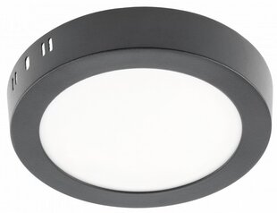 LED lampa Iris, IP20, 13W, 3000K, 1020LM cena un informācija | Griestu lampas | 220.lv