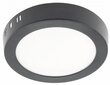 LED lampa Iris, IP20, 13W, 3000K, 1020LM цена и информация | Griestu lampas | 220.lv