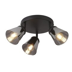 Searchlight griestu lampa Mega 61170-3SM цена и информация | Потолочные светильники | 220.lv