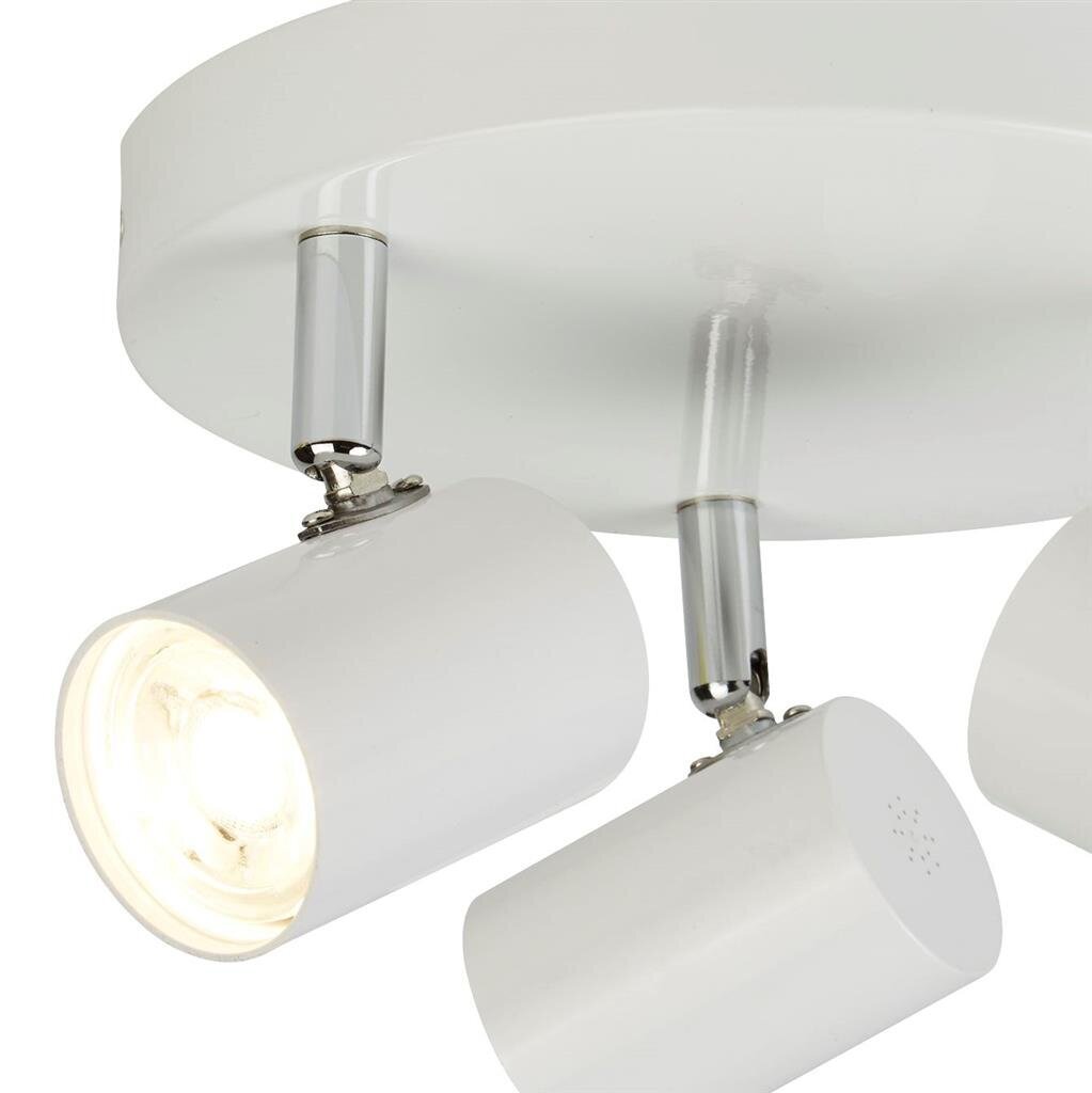 Searchlight griestu lampa Rollo 3173WH cena un informācija | Griestu lampas | 220.lv