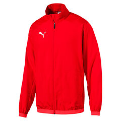 Толстовка для мужчин PUMA AMPLIFIED Hoodie TR цена и информация | Мужские толстовки | 220.lv