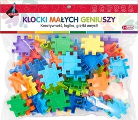 Цветная головоломка, Аскато цена и информация | Конструкторы и кубики | 220.lv