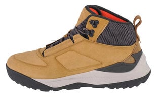 Zābaki vīriešiem 4F Tundra Boots M 4FAW22FWINM01, bēšā krāsā cena un informācija | Vīriešu kurpes, zābaki | 220.lv