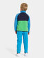 Didriksons bērnu vilnas džemperi MONTE HALF BUTTON 3, zaļš-zils цена и информация | Zēnu jakas, džemperi, žaketes, vestes | 220.lv