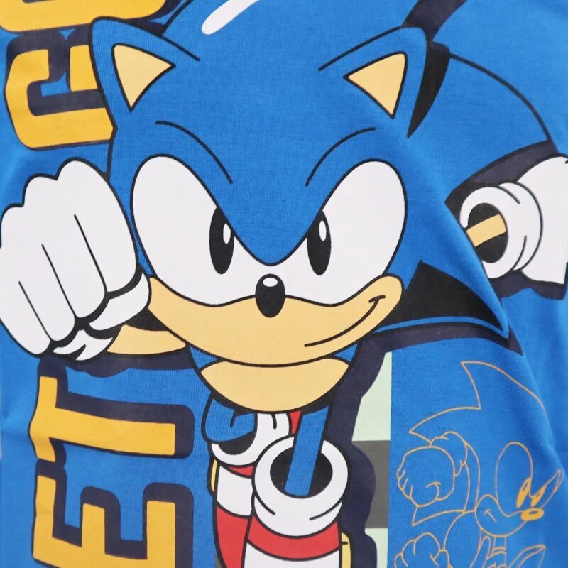 T-krekls bērniem Sonic The Hedgehog, zils цена и информация | Zēnu krekli | 220.lv