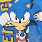 T-krekls bērniem Sonic The Hedgehog, zils cena un informācija | Zēnu krekli | 220.lv
