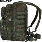 Militārā mugursoma Mil-Tec Assault Pack LG Bw-Tarn Flecktarn, 36 L, zaļa/brūna cena un informācija | Pārgājienu un ceļojumu mugursomas | 220.lv