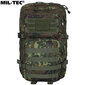 Militārā mugursoma Mil-Tec Assault Pack LG Bw-Tarn Flecktarn, 36 L, zaļa/brūna cena un informācija | Pārgājienu un ceļojumu mugursomas | 220.lv