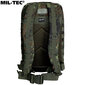 Militārā mugursoma Mil-Tec Assault Pack LG Bw-Tarn Flecktarn, 36 L, zaļa/brūna cena un informācija | Pārgājienu un ceļojumu mugursomas | 220.lv