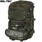 Militārā mugursoma Mil-Tec Assault Pack LG Bw-Tarn Flecktarn, 36 L, zaļa/brūna cena un informācija | Pārgājienu un ceļojumu mugursomas | 220.lv