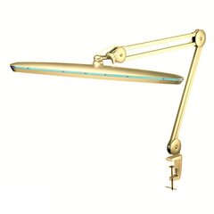 Galda LED lampa 58cm GOLD (kosmetologiem, pedikīram) AF-9777 цена и информация | Мебель для салонов красоты | 220.lv