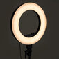 Gredzenveida LED 55W lampa ar statīvu AF-9126 cena un informācija | Apgaismojums fotografēšanai | 220.lv