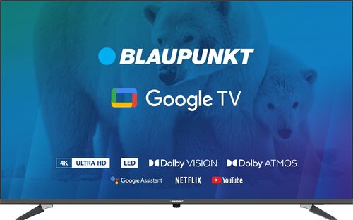 Blaupunkt 55UBG6000S цена и информация | Телевизоры | 220.lv