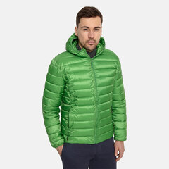 Мужская утепленная куртка Huppa весна-осень STEVO 2, зеленый цвет цена и информация | Мужские куртки | 220.lv