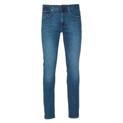 Мужские джинсы Tommy Hilfiger 8720116103113, синие цена и информация | Мужские джинсы | 220.lv