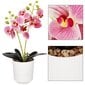 Mākslīgā orhideja Springos HA7424 cena un informācija | Mākslīgie ziedi | 220.lv