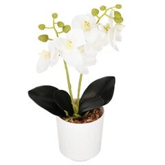 Mākslīgā orhideja Springos HA7423 cena un informācija | Mākslīgie ziedi | 220.lv