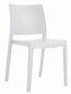 4 krēslu komplekts Leobert Klem, balts cena un informācija | Virtuves un ēdamistabas krēsli | 220.lv