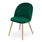 Krēsls Leobert Bello, zaļš/brūns cena un informācija | Virtuves un ēdamistabas krēsli | 220.lv