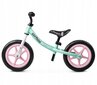 Līdzsvara velosipēds Cariboo Classic 12", rozā/zaļš cena un informācija | Balansa velosipēdi | 220.lv