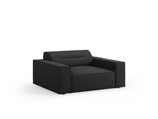 Windsor & Co Lupus krēsls, melns cena un informācija | Atpūtas krēsli | 220.lv