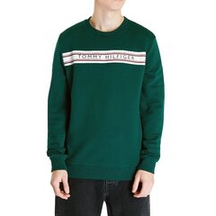 Мужской свитер Tommy Hilfiger 8720641938457, зеленый цена и информация | Мужские толстовки | 220.lv