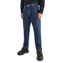 Мужские джинсы Tommy Jeans 8720642250299, синие цена и информация | Мужские джинсы | 220.lv