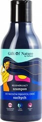 Šampūns sausiem matiem Gift Of Nature, 300ml cena un informācija | Šampūni | 220.lv