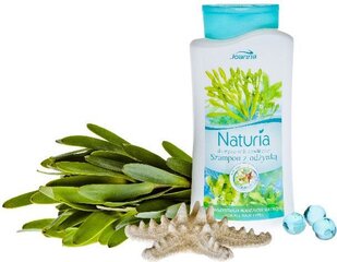Matu šampūns Joanna Naturia Jūras aļģes 2in1, 500 ml cena un informācija | Šampūni | 220.lv