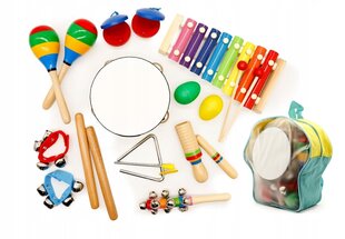 Набор из 10 музыкальных инструментов с рюкзаком цена и информация | Развивающие игрушки | 220.lv