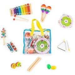 Музыкальный набор из 14 инструментов с сумкой цена и информация | Развивающие игрушки | 220.lv