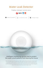 Smart ūdens noplūdes sensors цена и информация | Датчики | 220.lv