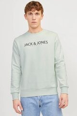 Sporta džemperis vīriešiem Jack & Jones 12256972GREENTINT, zaļš cena un informācija | Vīriešu džemperi | 220.lv