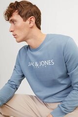 Мужской спортивный свитер Jack & Jones 12256972TROPOSPHERE, синий цена и информация | Мужские свитера | 220.lv