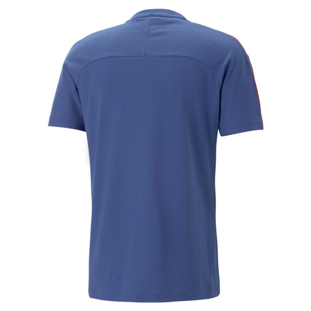 T-krekls vīriešiem Puma 53811904, zils cena un informācija | Vīriešu T-krekli | 220.lv
