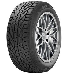 KORMORAN SNOW 195/55R16 87H цена и информация | Зимняя резина | 220.lv