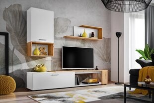 Секция ASM Лабиринт II, коричневый/белый цена и информация | ASM Мебель и домашний интерьер | 220.lv