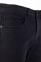 Джинсы Kenzarro TH37995-36 цена и информация | Мужские джинсы | 220.lv