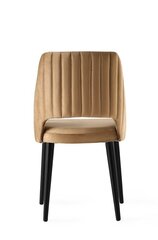 4 krēslu komplekts Kalune Design Acelya, brūns cena un informācija | Virtuves un ēdamistabas krēsli | 220.lv