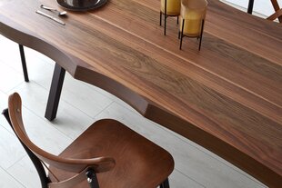 Обеденный стол Asir Milano - 1031, коричневый цена и информация | Кухонные и обеденные столы | 220.lv