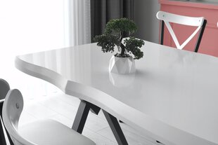 Обеденный стол Asir Efor 1411, белый/черный цена и информация | Кухонные и обеденные столы | 220.lv