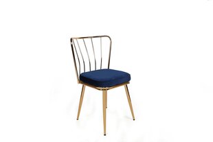 комплект из 2 стульев Kalune Design Yildiz 924 V2, синий/золотой цена и информация | Стулья для кухни и столовой | 220.lv