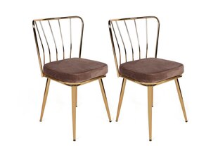 комплект из 2 стульев Kalune Design Yildiz 927 V2, коричневый/золотой цена и информация | Стулья для кухни и столовой | 220.lv