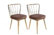 2 krēslu komplekts Kalune Design Yildiz 927 V2, brūns/zelts цена и информация | Virtuves un ēdamistabas krēsli | 220.lv
