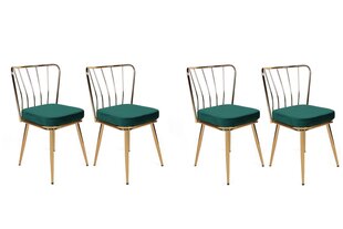 Комплект из 4 стульев Kalune Design Yildiz 930 V4, зеленый цена и информация | Стулья для кухни и столовой | 220.lv