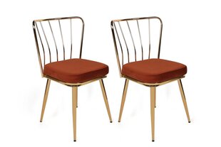 2 krēslu komplekts Kalune Design Yildiz 925 V2, oranžs/zelts cena un informācija | Virtuves un ēdamistabas krēsli | 220.lv