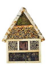 Kukaiņu māja 05.2 XXL, 50x30x12 cm cena un informācija | Putnu būri un barotavas | 220.lv